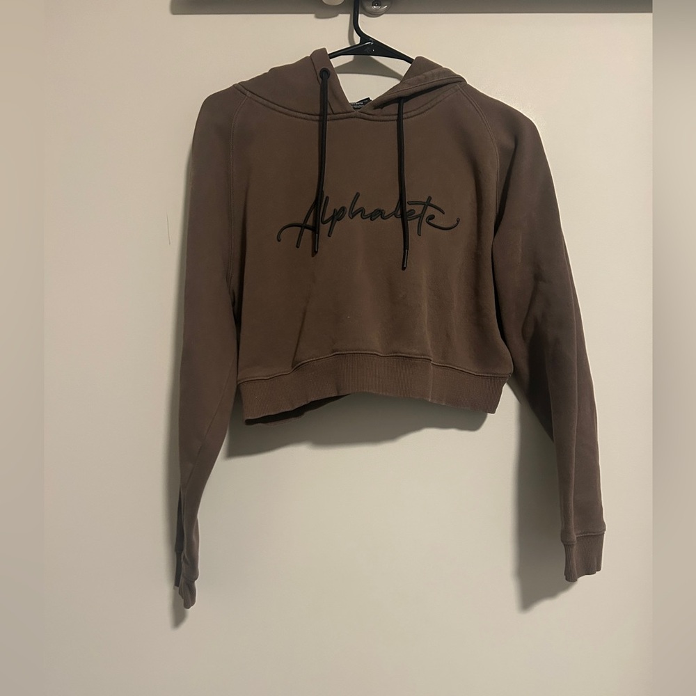 Alphalete Cropped Hoodie in Chocolate Brown with Black Script